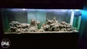 Marine fish tank with all accessories