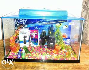 New fish complete aquarium fully acceseriese with