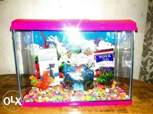 New fish complete aquarium fully acceseriese with