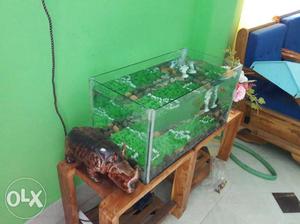 New fish tank aquarium for sell size large.. air