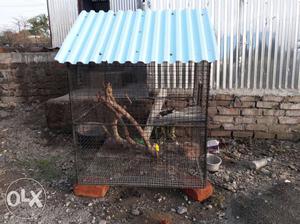 Parot cage 3×3ft...excellent condition prize