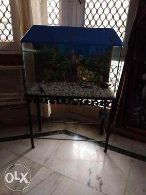 Rectangular Blue Hood Fish Tank