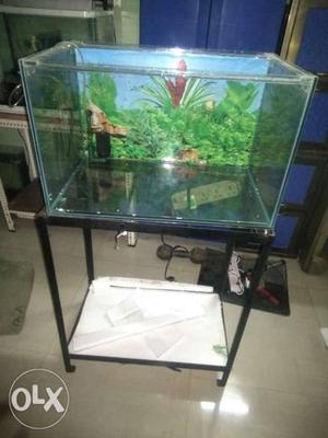 Rectangular Clear fish tank with Rack Like a new 2 months