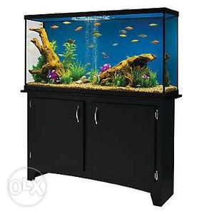 Sell your Second hand Fish aquariums, Fishes and pets