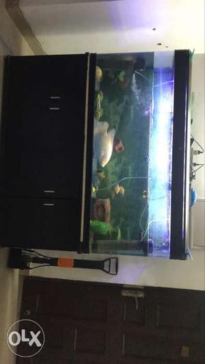 Sobo aquarium T-150f with 15 imported fishes,