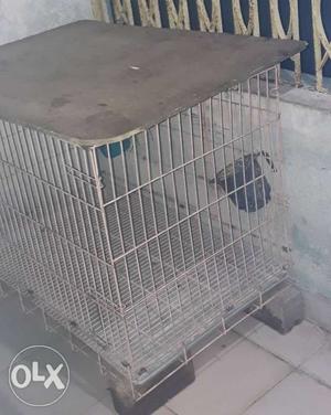 Strong cage for big dog with bottom plate