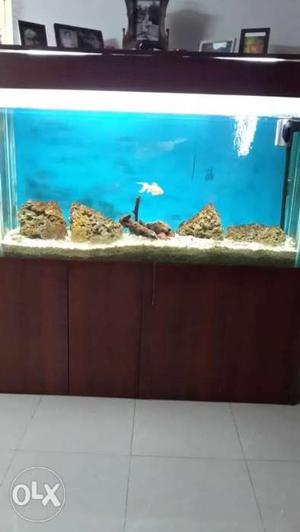 Tank in working condition with 2 filters 5 by 4
