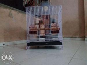 Thick gauge cage for big size birds