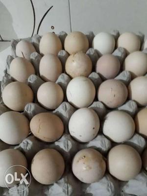 Tray Of Beige Poultry Eggs pure desi 30 peece rp 300
