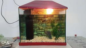 Water Aquarium For Fancy Fish