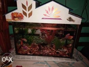 White And Red Floral Framed Fish Tank