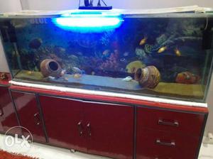 Wnt to sell my big fish tank with wooden cabinet