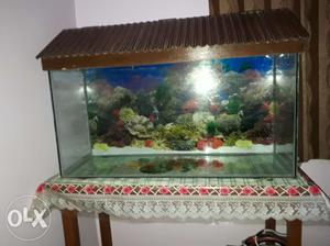 3feet * 1 feet *1.5 feet (fish aquarium)