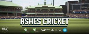 Ashes cricket  PC game I have many PC games