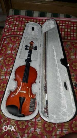 Brown And Black Violin With Case just 15 days old