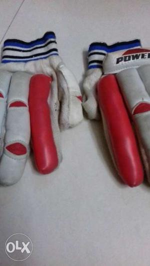 Cricket kit bag with gloves. Pads.helmet.amr