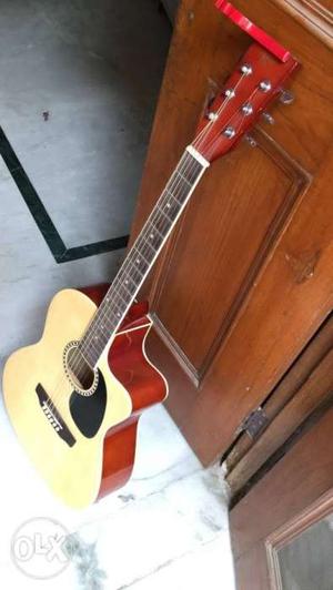 Guitar st10-ac keeps with one heavy cover nd one capo