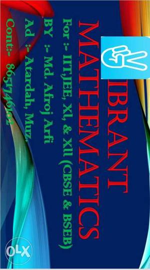 Ibrant Mathematics Book