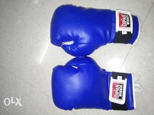 New Blue-and-white Dipak Boxing Gloves