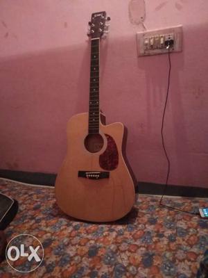 Sonido guitar for sale