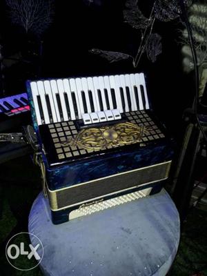 Accordian For Sell