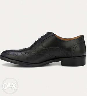Brand new Alberto torresi Genuine leather brogue shoes.