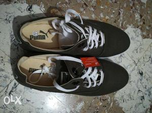 Brand new(unused) puma shoes...colour white-dark