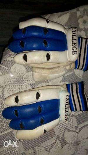 Pair Of White-and-blue Leather Gloves
