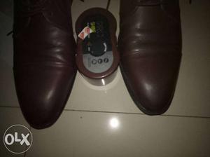 Size 10 Brand New Leather Shoes worth Rs.- /-