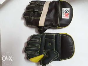 Wicket keeping gloves of company GM