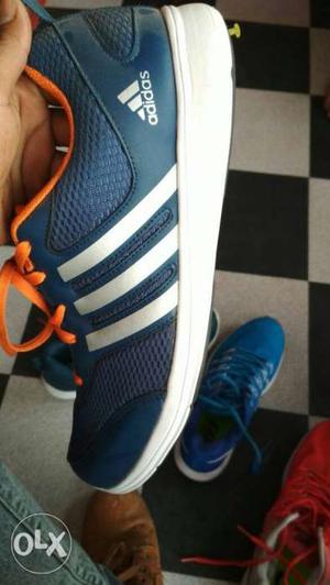 Blue Adidas Running Shoe