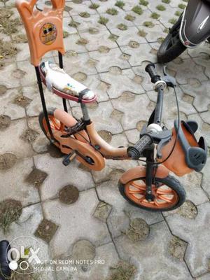 Orange And Grey Bicycle