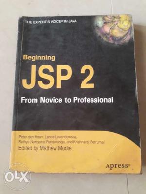Beginning JSP 2- From Novice to Professional