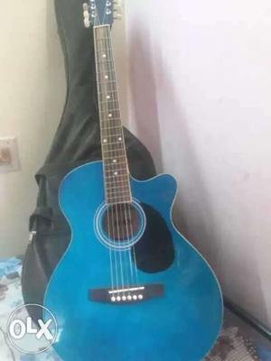 New guitar with cover, capo..
