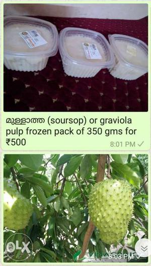 Soursop or mullatha pulp frozen
