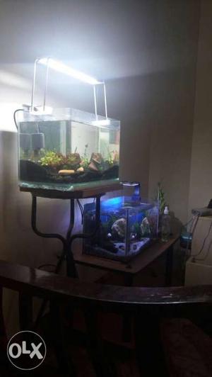 1feet planted aquarium with full accessories for