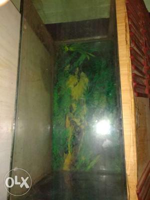 2.5 foot fish tank with light...