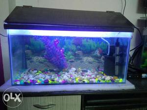 2 feet fish tank only 15 day use with filter