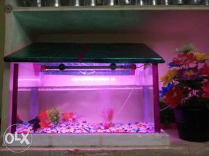2 feet fish tank with air motor led light