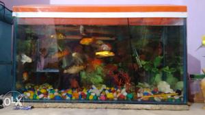 2*1*1 Aquarium with accessories for sell, price
