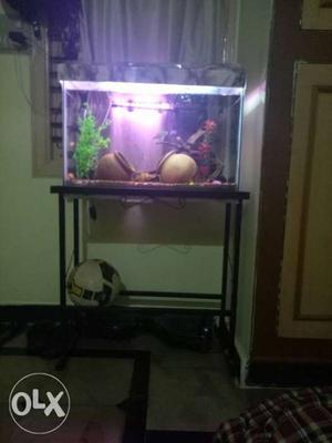 2ft long 1ft wide 1 ft tall aquarium with stand price