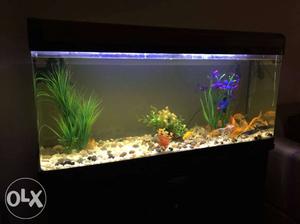 3.5 feet aquarium with filter, bubblemaker,