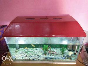 3 feet fish aquarium and medicines and food,