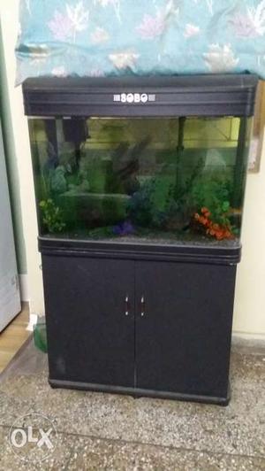 A fully functional Sobo Aquarium with filter,