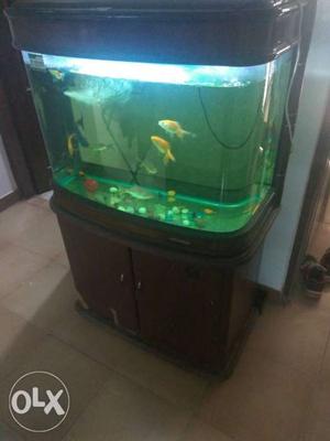 An excellent Fish Aquarium length 2 8feet with