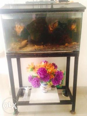 Aquarium fish tank 2 feet with stand and all