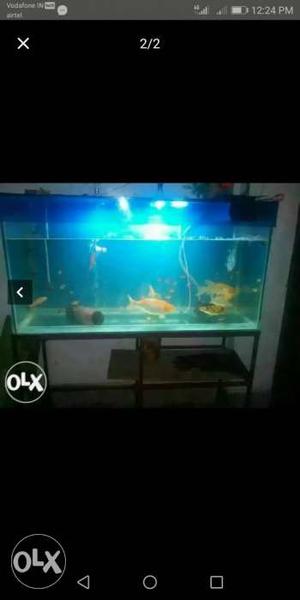 Aquarium stand