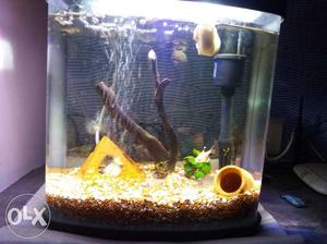 Aquarium with filter lighting air pump sand