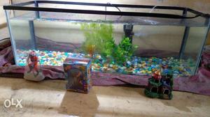 Aqurium tank only rs/- and decoration 600rs/-