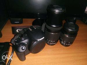 Canon d DSLR camera for rent